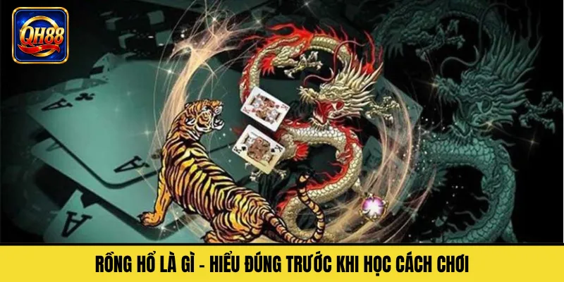 Rồng Hổ Là Gì – Hiểu Đúng Trước Khi Học Cách Chơi